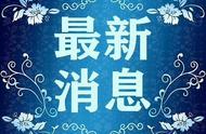 2023年舒城小兰花茶文化节筹备组办公室的最新公告