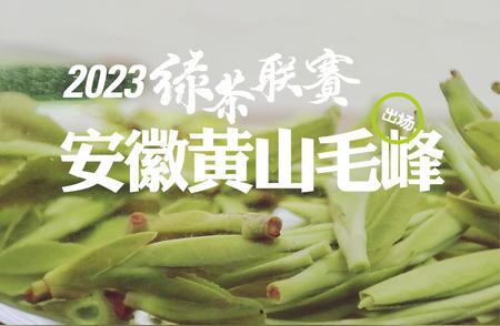 2023年绿茶联赛：安徽黄山毛峰再度参赛，贡牌雨前黄山毛峰的评测