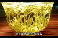黄茶：中国茶文化的瑰宝