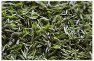 霍山黄芽：中国茶叶的珍品