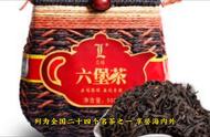 六堡茶：梧州绿宝茶，黑茶之珍