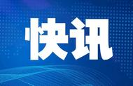 泰国创下吉尼斯世界纪录：69.7米长木化石