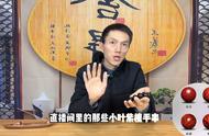 揭秘直播间里的小叶紫檀：真假鉴别与品质分析！