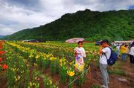 第十二届松花石文化旅游节在江源区盛大开幕