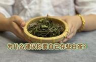 白茶的三大好处：我在喝茶十几年中发现的真实有效