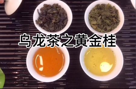 黄金桂乌龙茶：独特的香气与口感体验