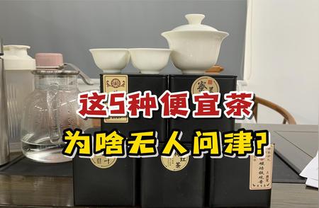 探秘五种超值平价茶叶，口感绝佳竟被茶叶店忽视！