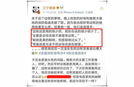 狗与边牧：两种不同犬种的独特之处