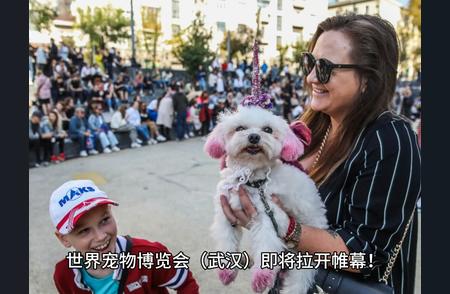 世界宠物博览会（武汉）盛大开幕，众多萌宠等你来观赏