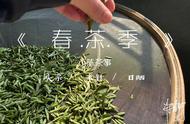 白茶收藏指南：散茶与饼茶，哪个更适合你？