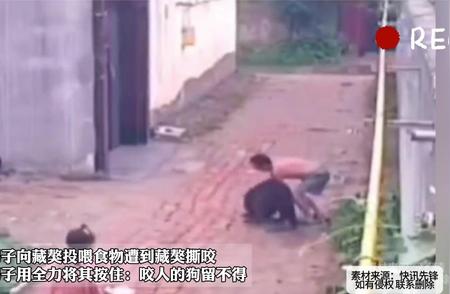 藏獒突然袭击男子，撕咬事件背后隐藏什么故事？