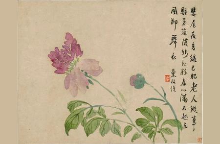 清代汪士慎《花卉图册》：古画新观