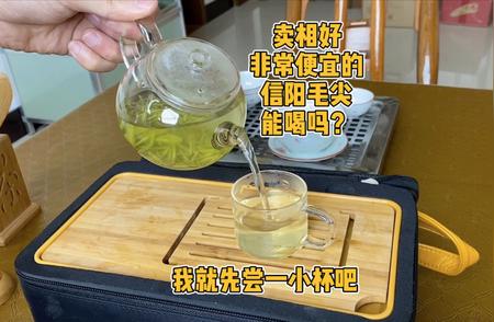 信阳毛尖品质揭秘：我的品鉴经验与分享